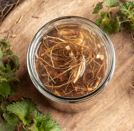Nettle Root