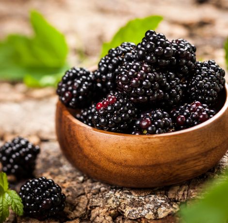 Blackberry leaf