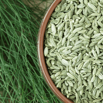 Fennel seeds