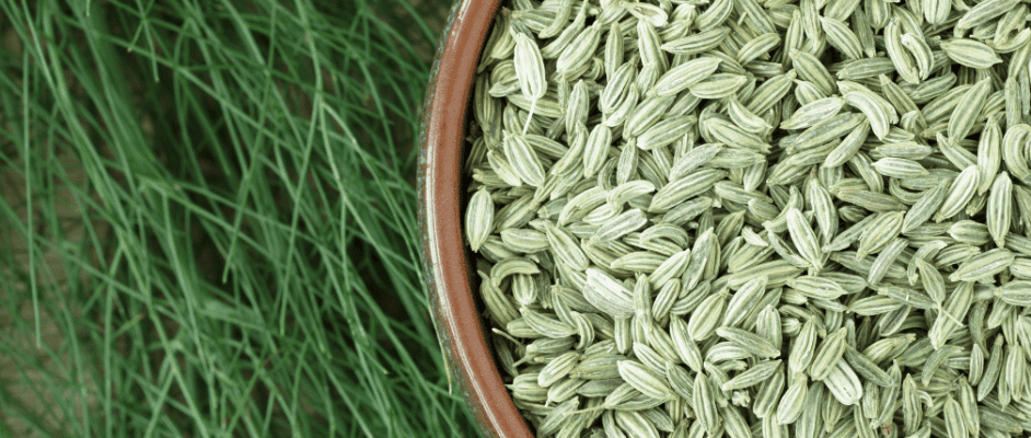 Fennel seeds