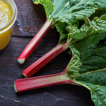 Chinese rhubarb root
