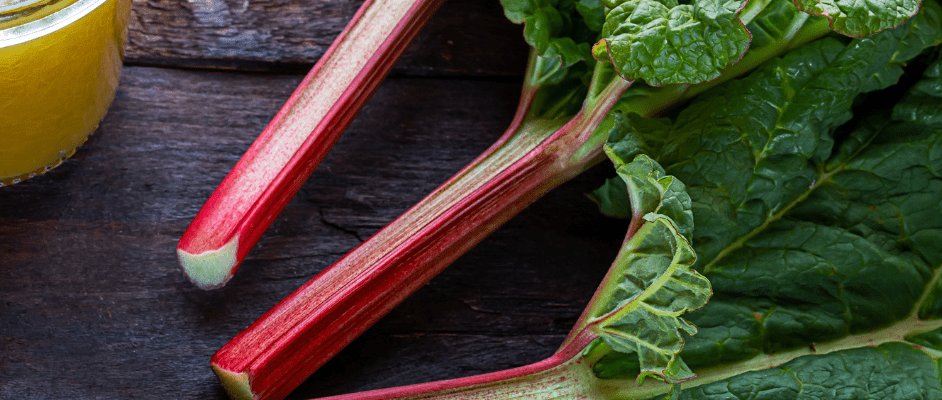 Chinese rhubarb root